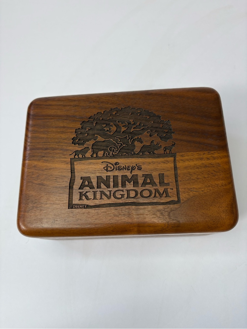 VNTG Disney Animal Kingdom Wooden Engraved Trinket Storage Keepsake Jewelry Box